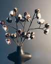 Fleur de coton