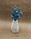 Myosotis