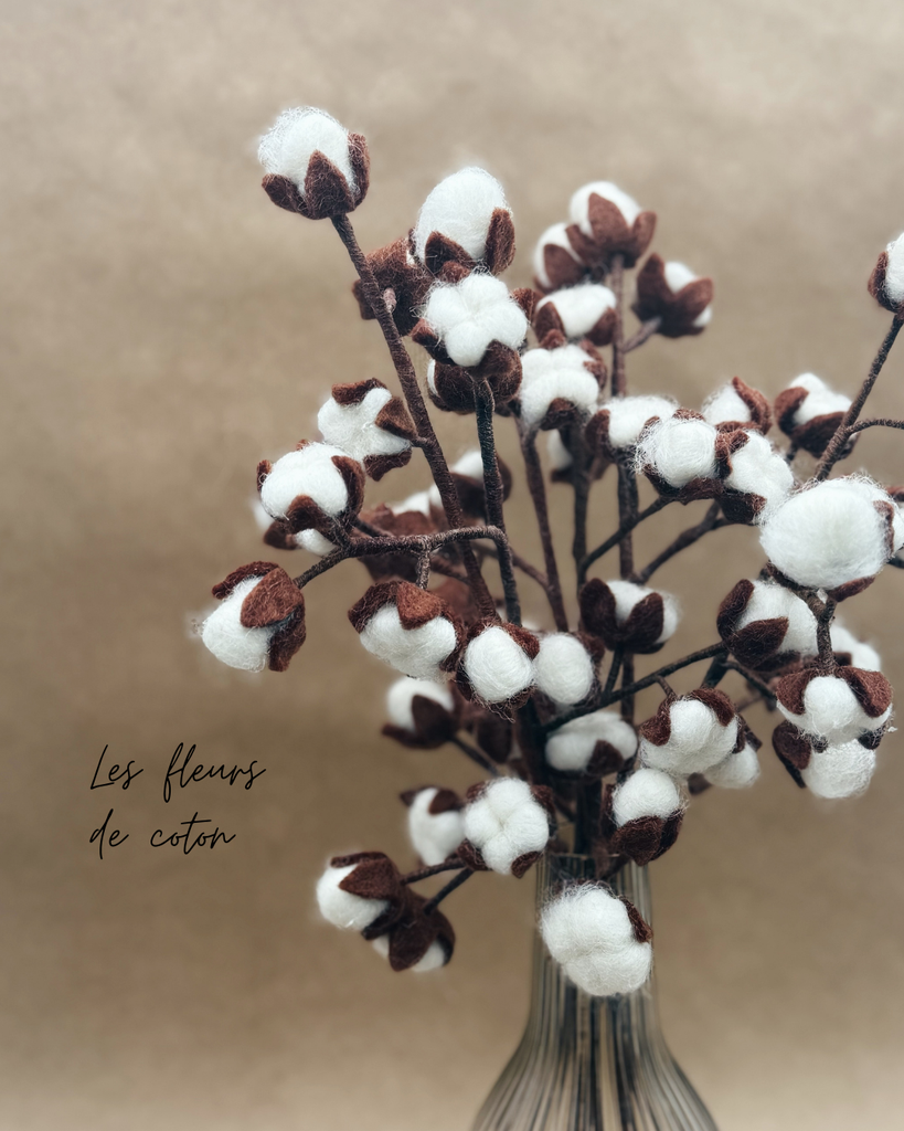 Fleur de coton