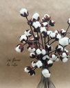 Fleur de coton