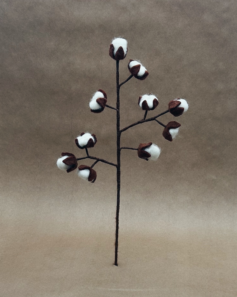 Fleur de coton